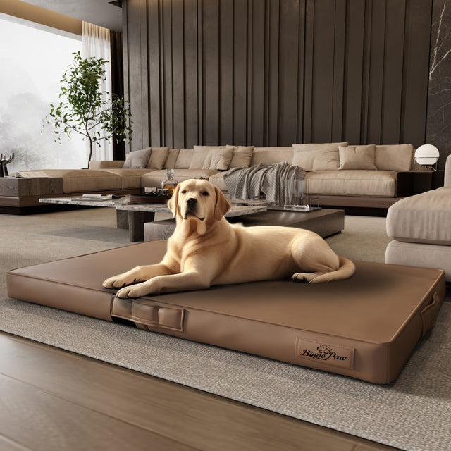Bite Proof High-Density XL Dog Bed for Large Dogs