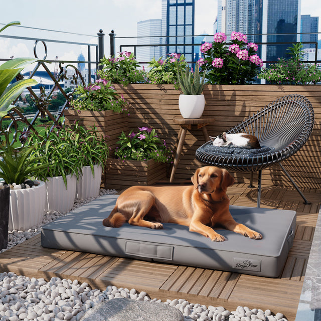 Bite Proof High-Density XL Dog Bed for Large Dogs