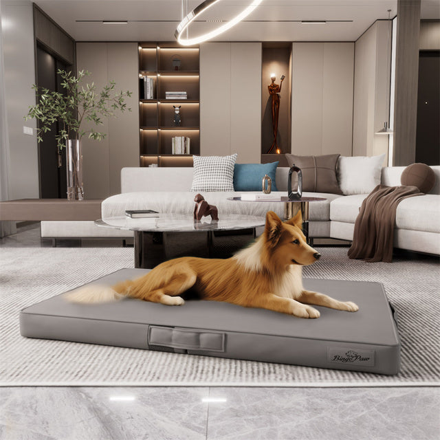 Bite Proof High-Density XL Dog Bed for Large Dogs