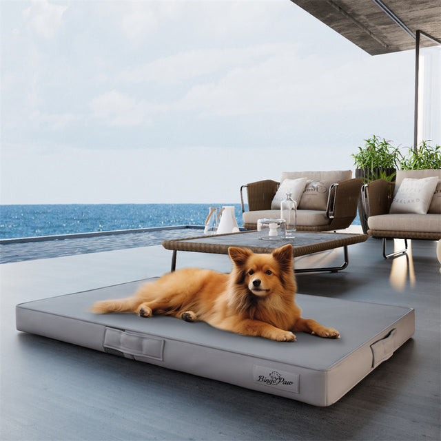 Bite Proof High-Density XL Dog Bed for Large Dogs