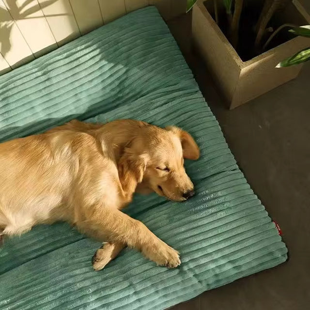 Calming Comfort Dog Bed Pillow with Washable Cover