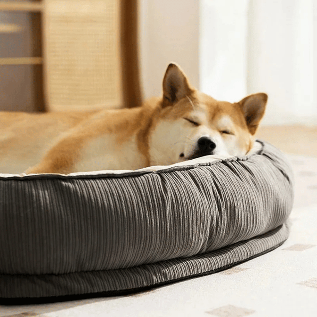 Comfort Calming Dog Bed with Waterproof Removable Cover