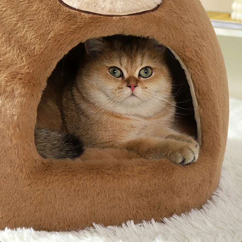 Cute Bear Semi-Enclosed Cat Bed House