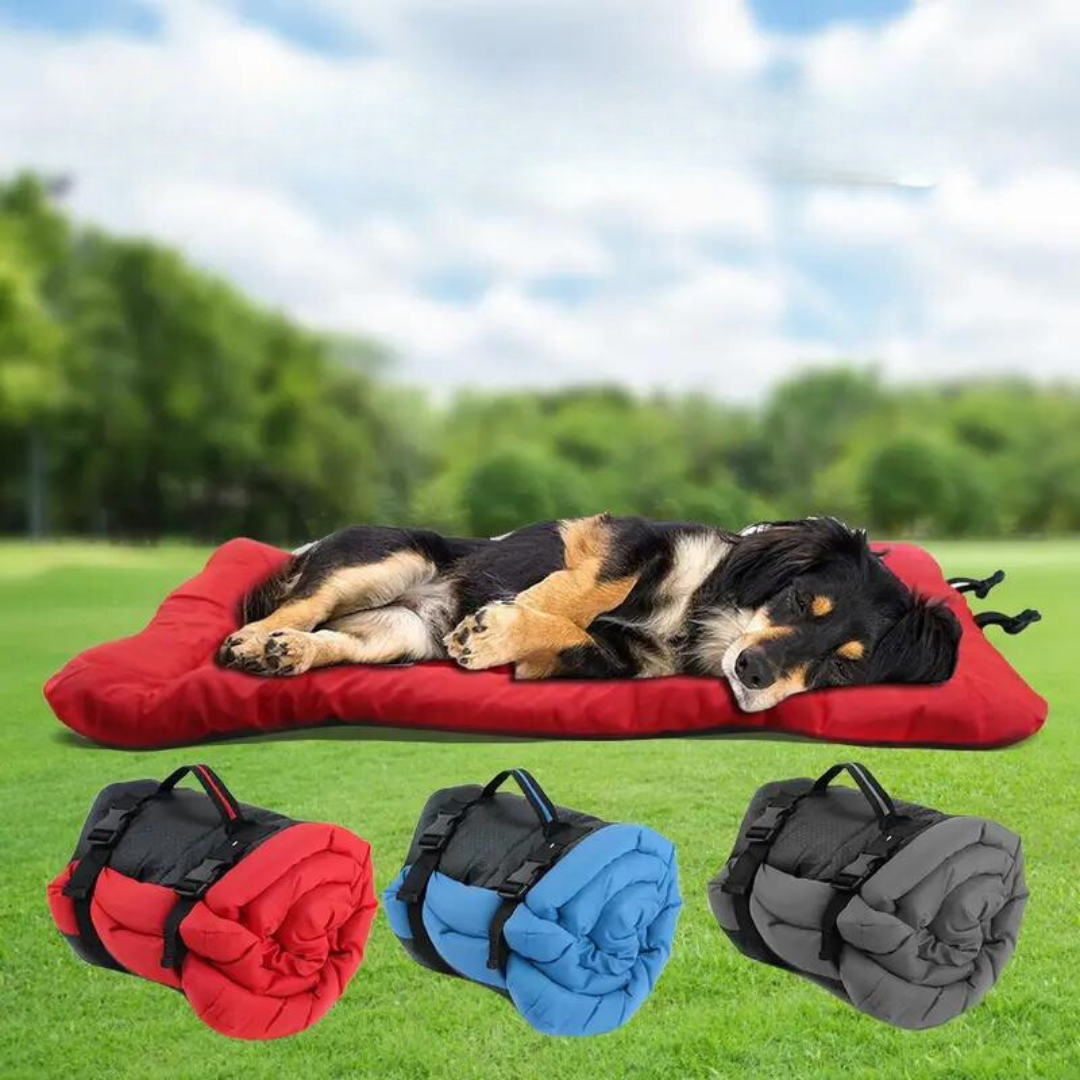 Easy-Carry Foldable & Waterproof Dog Travel Bed