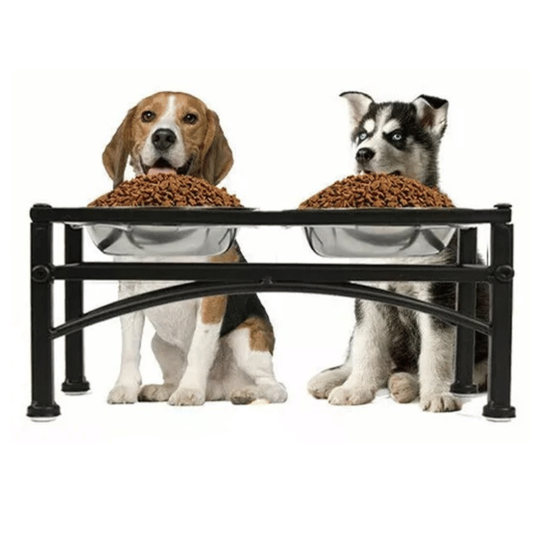 Elevated Dog Bowls & Stand | Stainless Steel Dog Feeding Station