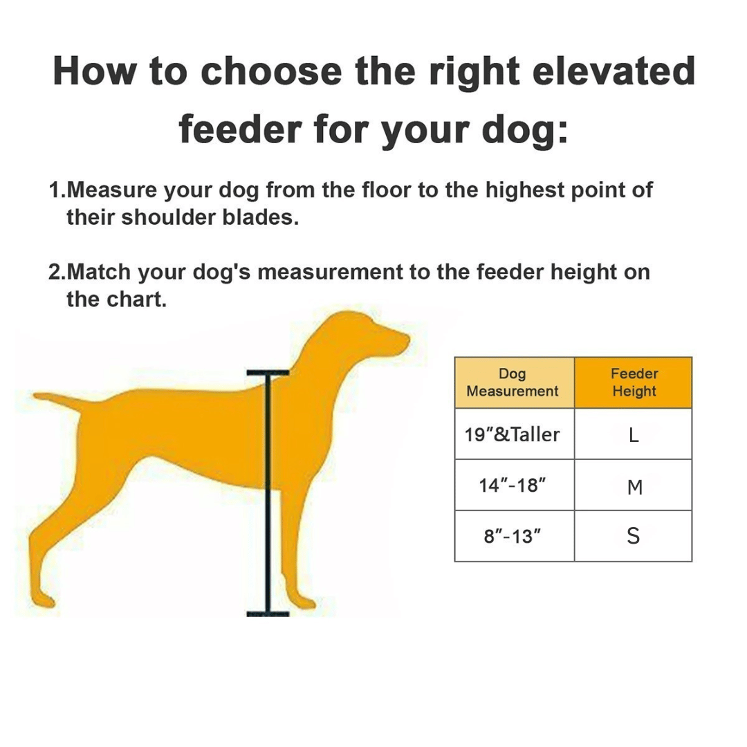 Elevated Dog Bowls & Stand | Stainless Steel Dog Feeding Station
