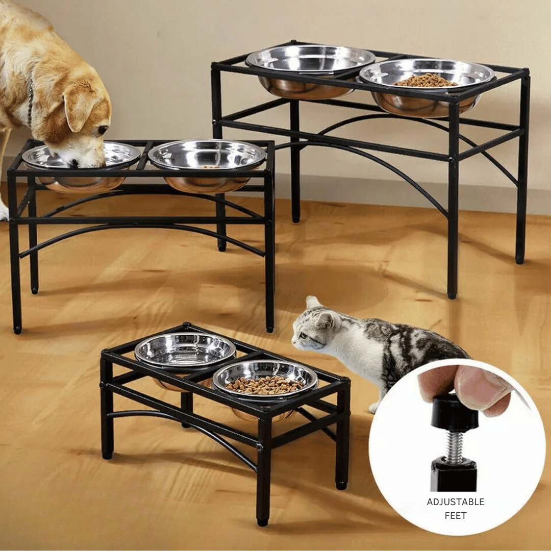 Elevated Dog Bowls & Stand | Stainless Steel Dog Feeding Station