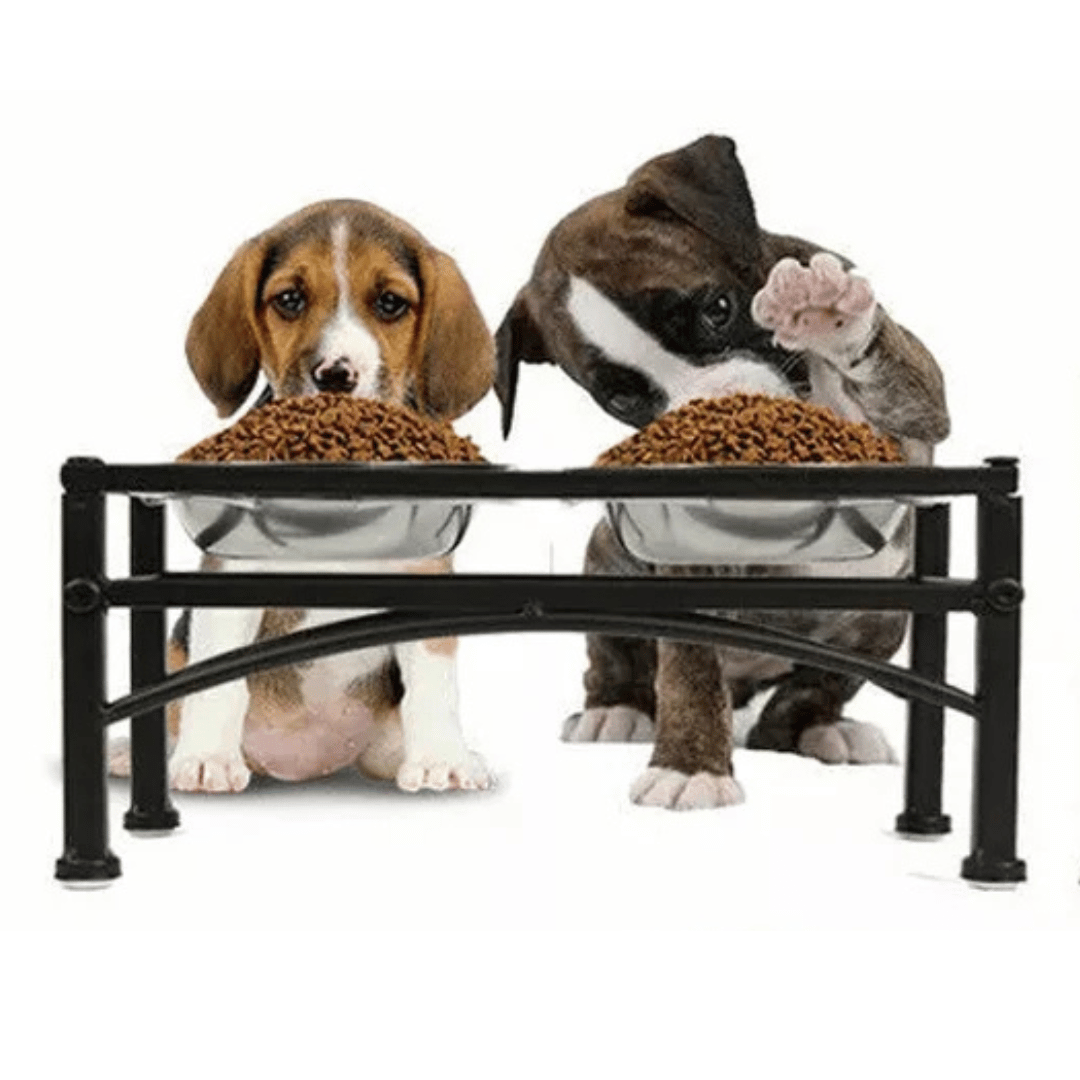 Elevated Dog Bowls & Stand | Stainless Steel Dog Feeding Station