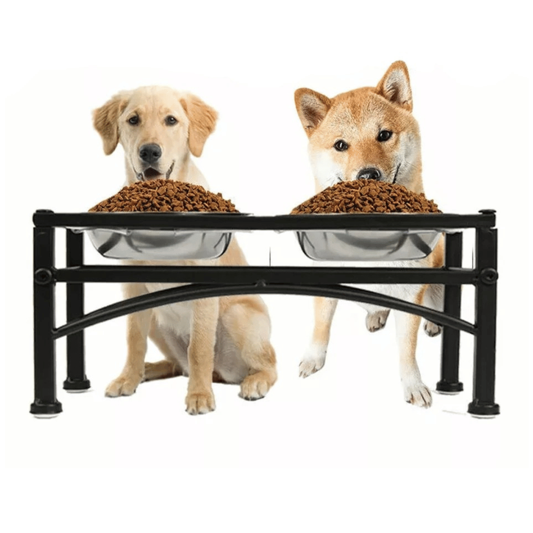 Elevated Dog Bowls & Stand | Stainless Steel Dog Feeding Station