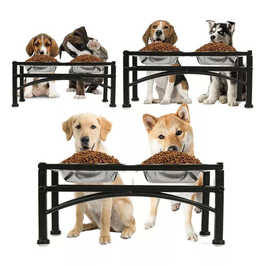 Elevated Dog Bowls & Stand | Stainless Steel Dog Feeding Station