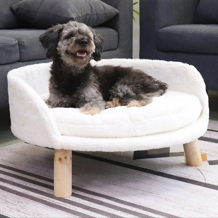 Elevated Round Plush Pet Bed Chair for Cats & Small Dogs