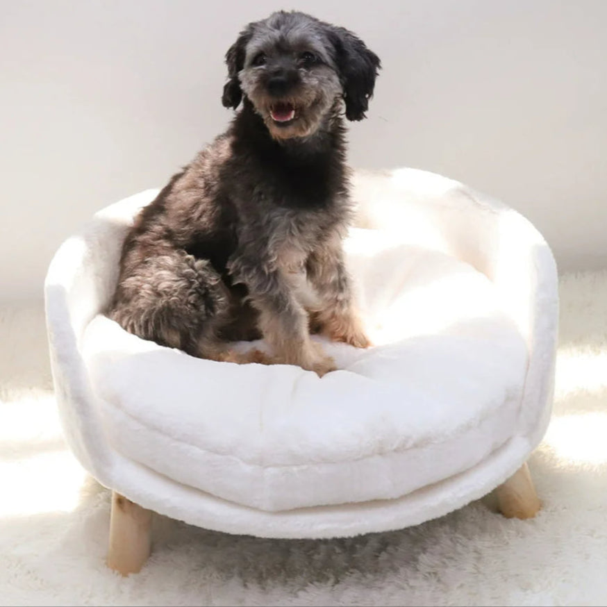 Elevated Round Plush Pet Bed Chair for Cats & Small Dogs