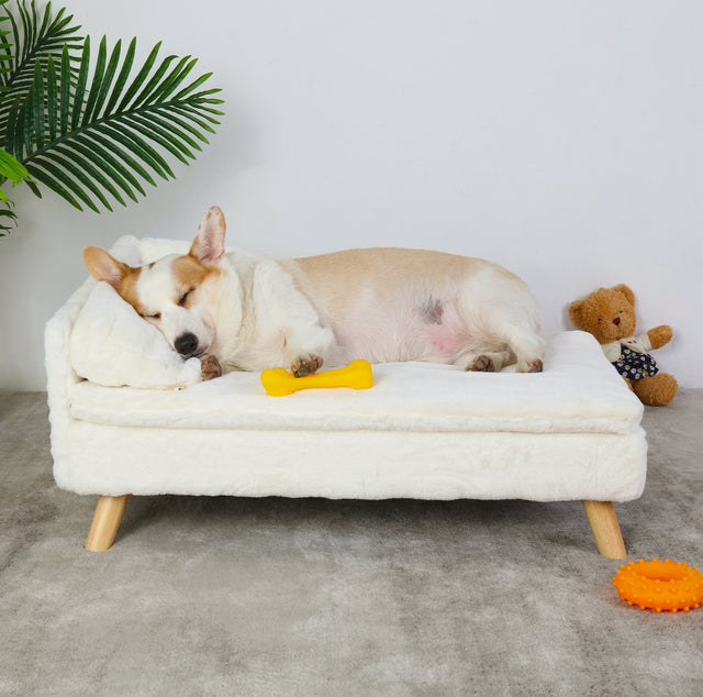 Elevated Soft Plush Pet Sofa for Cats & Small Dogs