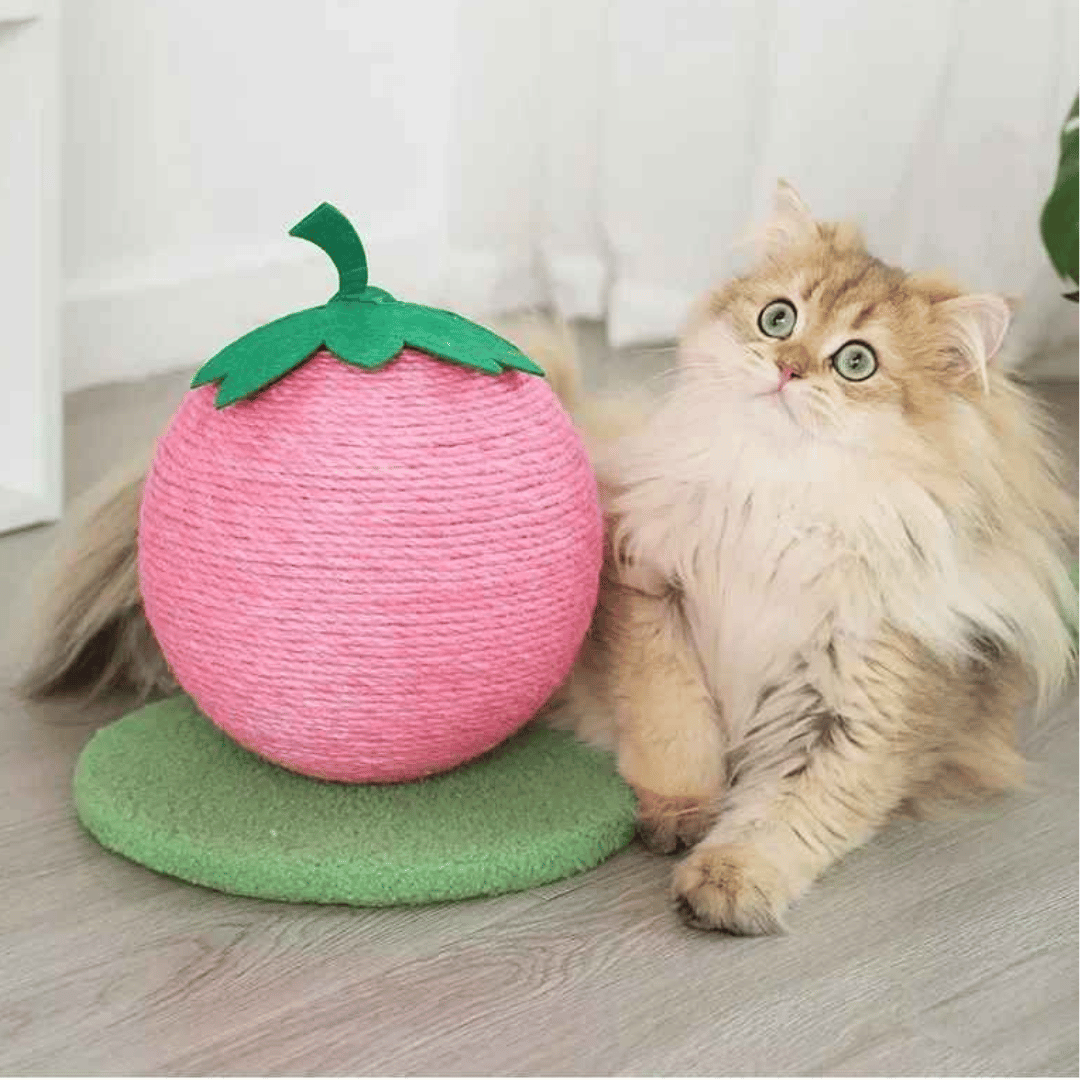 Fruity-Kitty Interactive Cat Scratching Ball