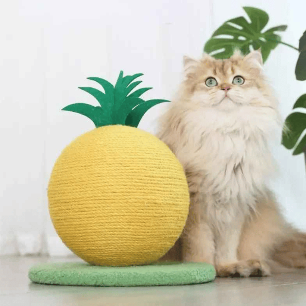 Fruity-Kitty Interactive Cat Scratching Ball