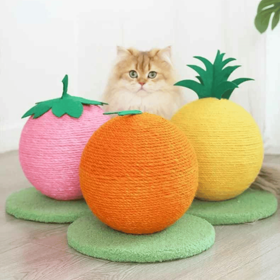 Fruity-Kitty Interactive Cat Scratching Ball