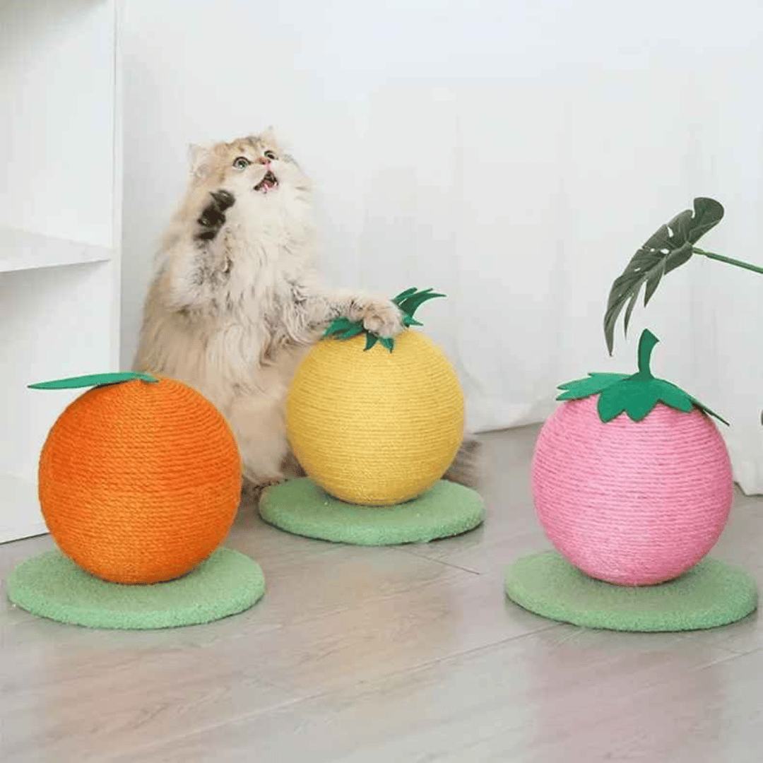 Fruity-Kitty Interactive Cat Scratching Ball