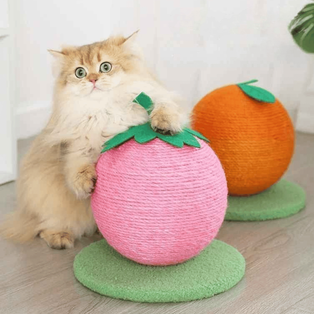 Fruity-Kitty Interactive Cat Scratching Ball