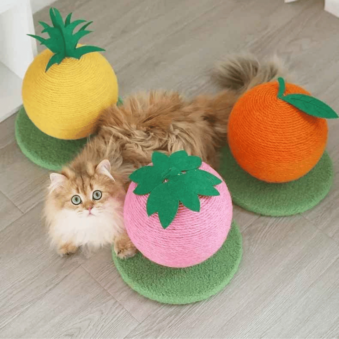 Fruity-Kitty Interactive Cat Scratching Ball
