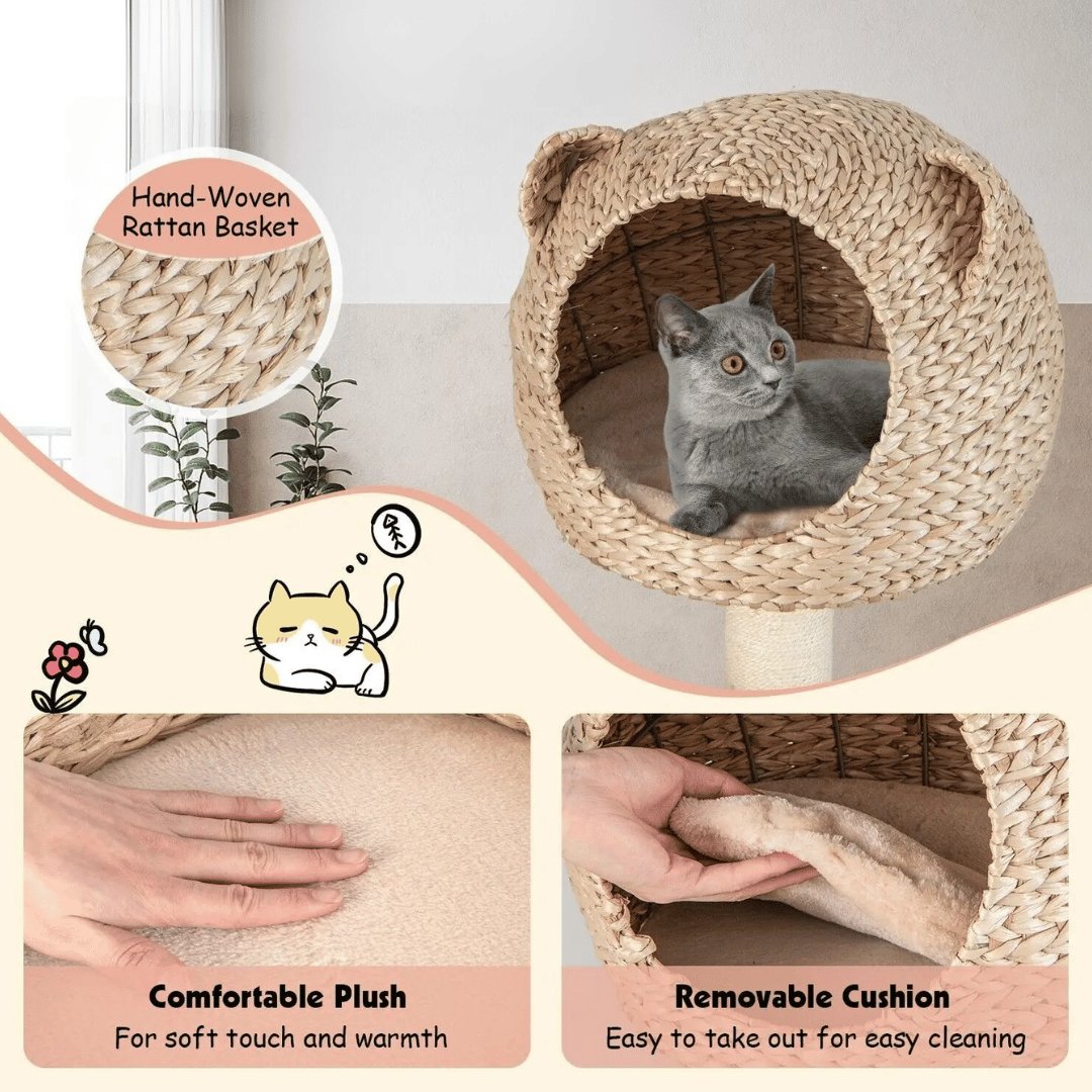 Fun Cat Tree Tower with Perch, Nest & Hammock