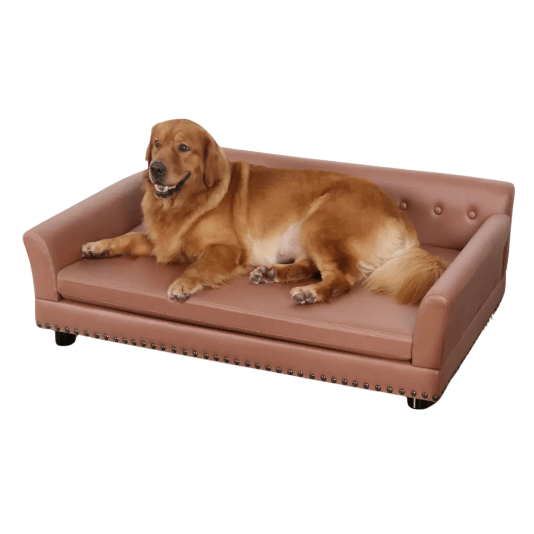 Large Elevated Faux Leather Dog Sofa Bed for XL Dogs