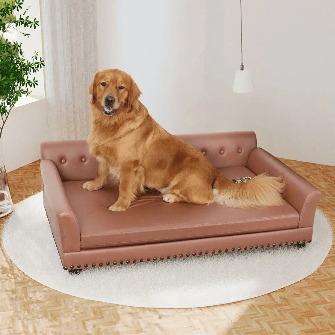Large Elevated Faux Leather Dog Sofa Bed for XL Dogs