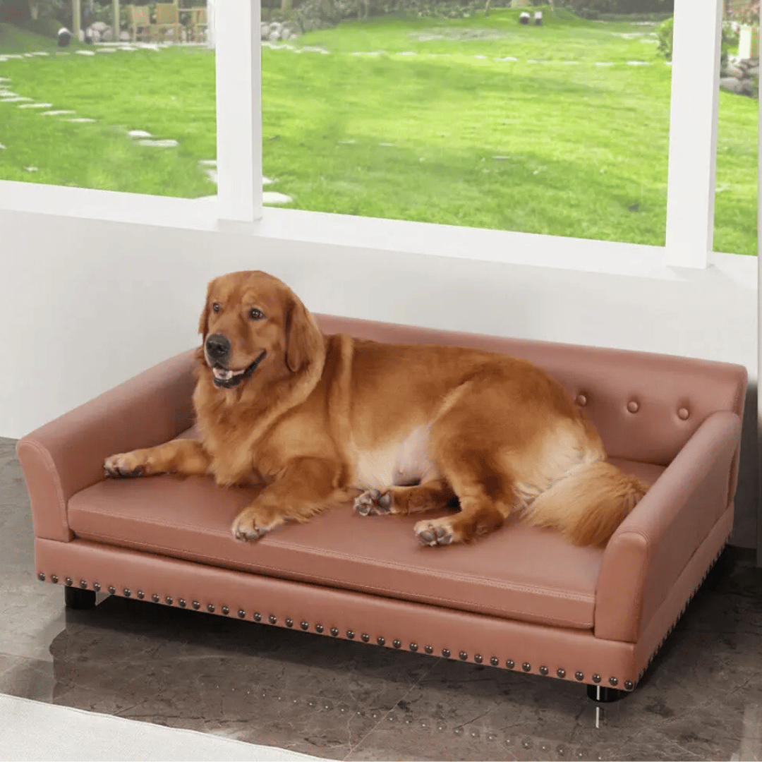Large Elevated Faux Leather Dog Sofa Bed for XL Dogs