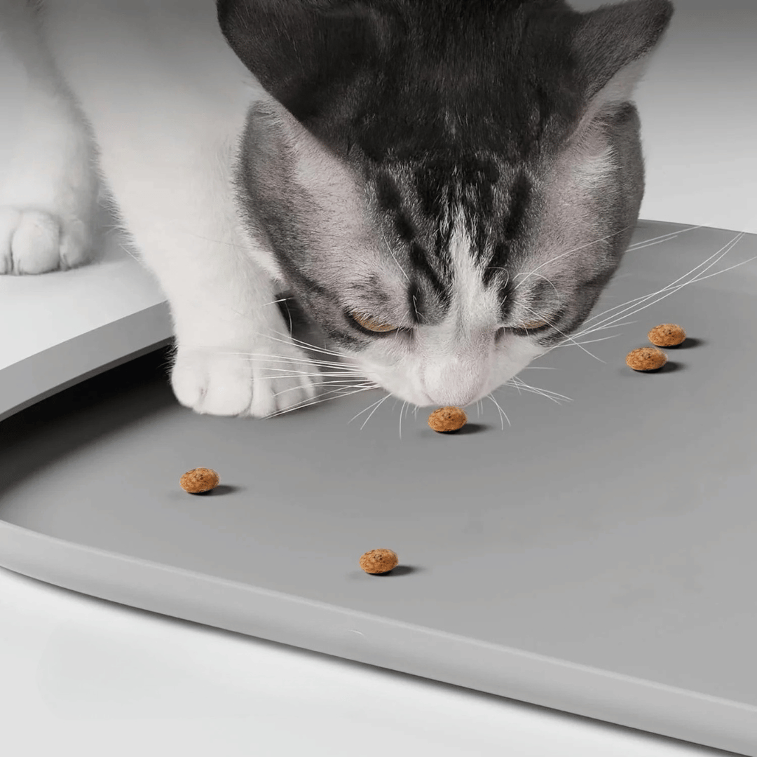 No-Spill Silicone Cat Food & Dog Bowl Mat with Raised Edges