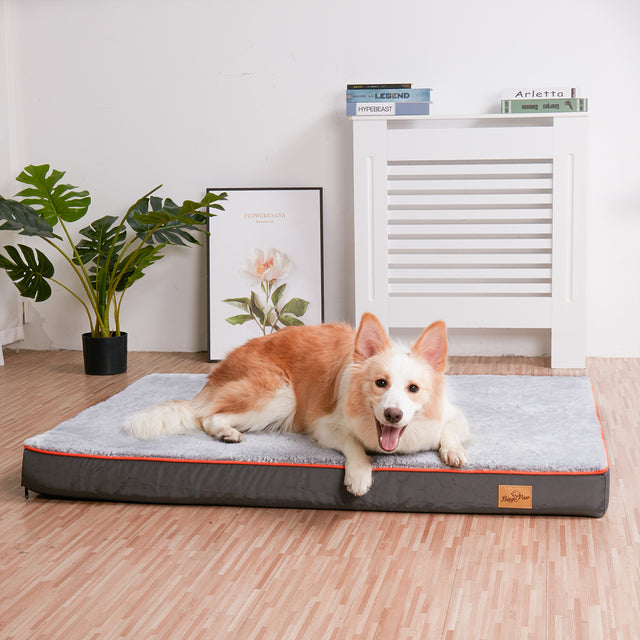 Orthopedic Dog Bed for Large & XL Dogs with Washable Cover