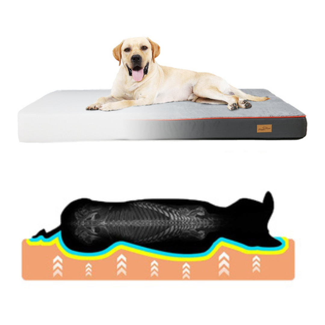 Orthopedic Dog Bed for Large & XL Dogs with Washable Cover