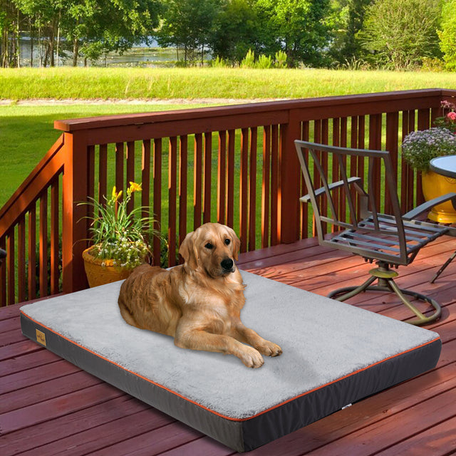 Orthopedic Dog Bed for Large & XL Dogs with Washable Cover