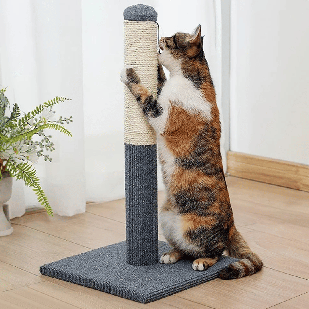 Playful Cat Scratching Post with Hanging Ball