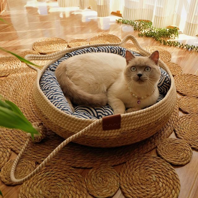 Rattan Woven Cat Bed Basket & Cushion