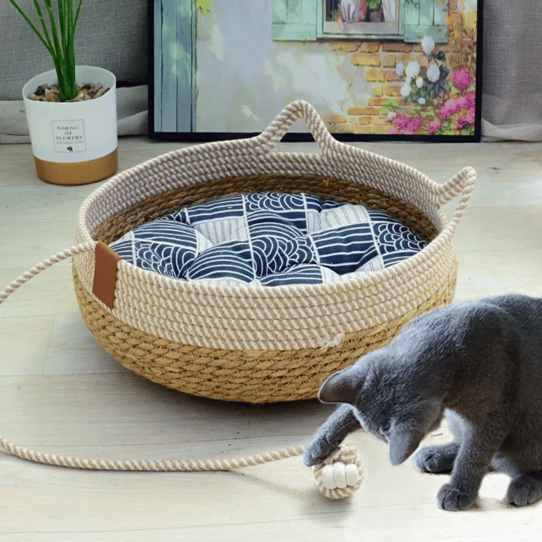 Rattan Woven Cat Bed Basket & Cushion