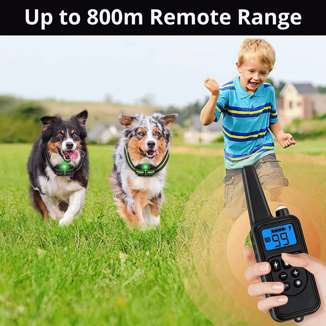 800m Remote-Controlled Dog Training Collar | Waterproof & Rechargeable