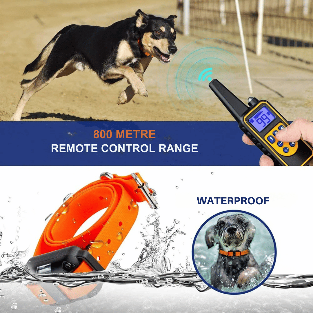 800m Remote-Controlled Dog Training Collar | Waterproof & Rechargeable