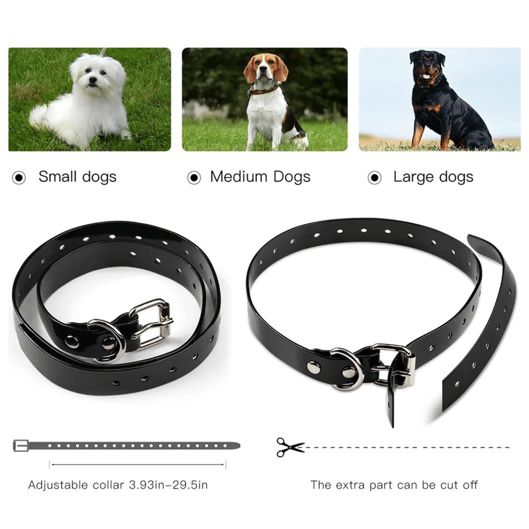 800m Remote-Controlled Dog Training Collar | Waterproof & Rechargeable