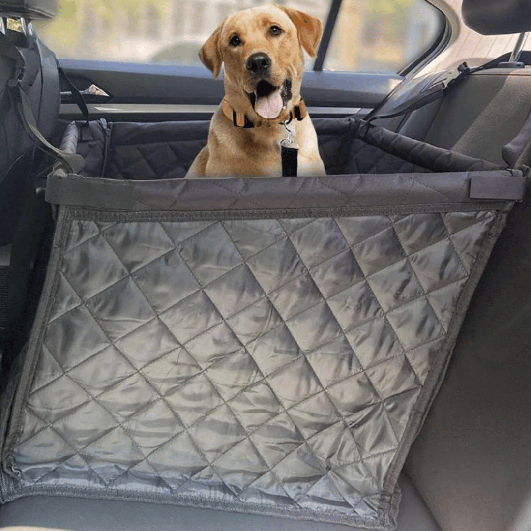 Secure & Reinforced Dog Car Seat