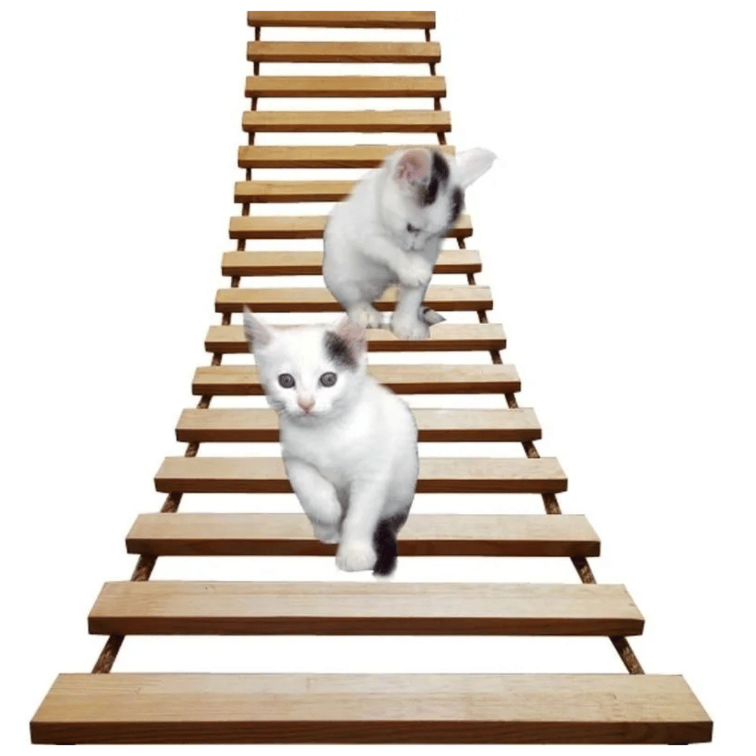 Sisal & Wood Cat Ladder | Wall-Mounted Cat Bridge & Climber