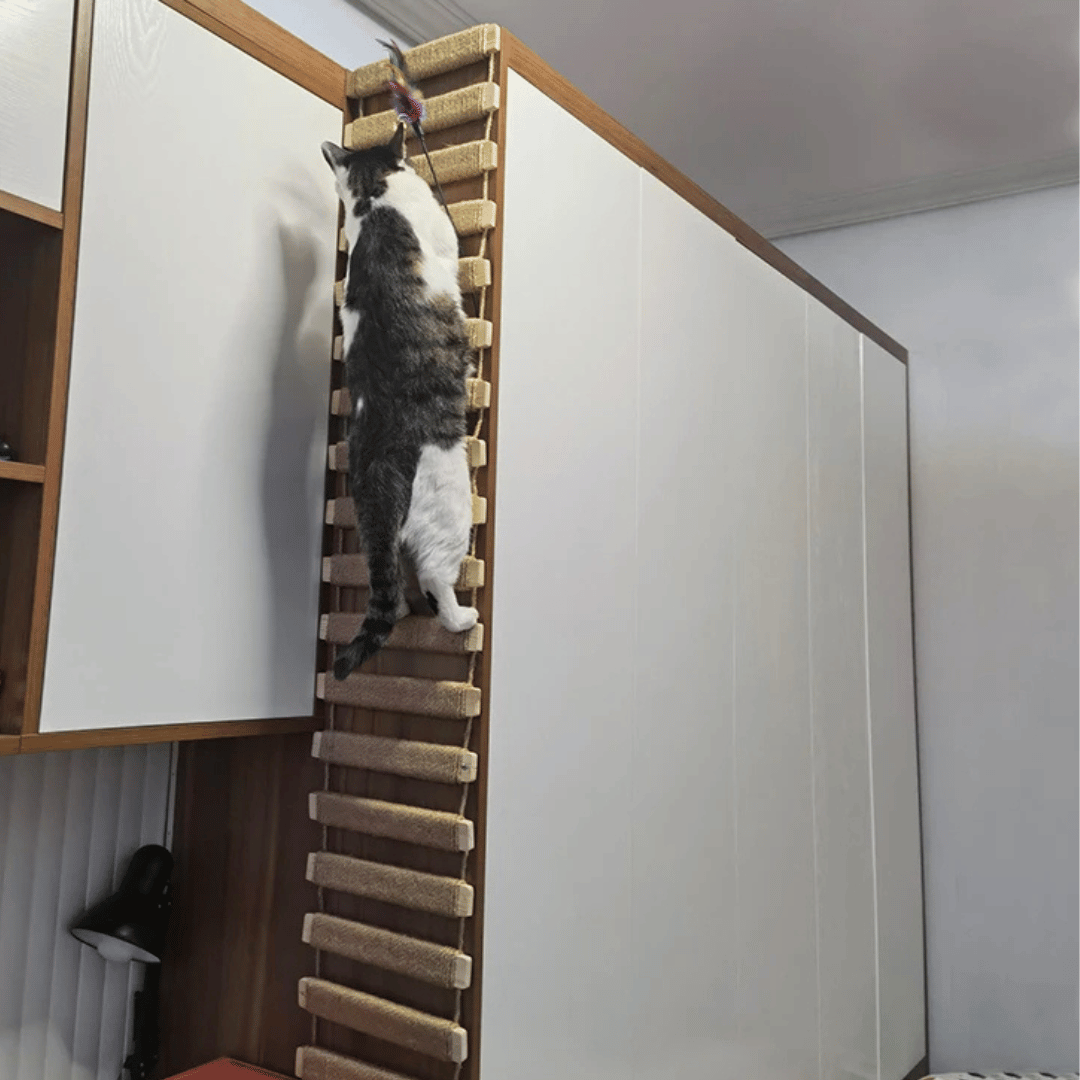 Sisal & Wood Cat Ladder | Wall-Mounted Cat Bridge & Climber
