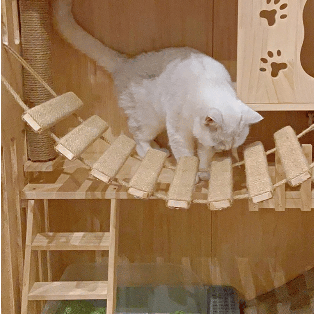 Sisal & Wood Cat Ladder | Wall-Mounted Cat Bridge & Climber