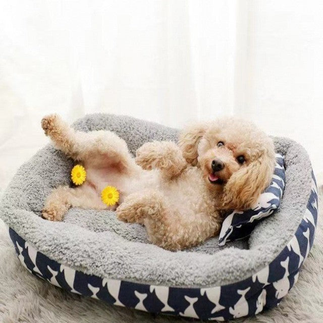 Snug Dreams Pet Bed & Pillow for Cats & Small Dogs