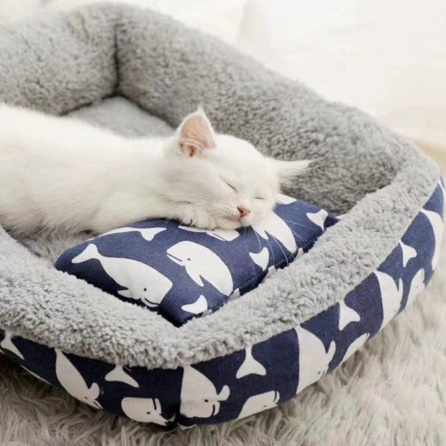 Snug Dreams Pet Bed & Pillow for Cats & Small Dogs