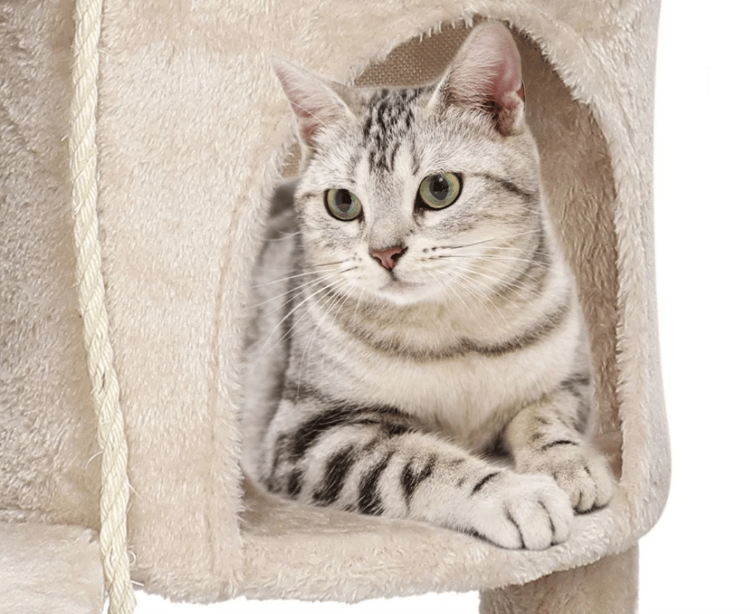 Soft & Sturdy Beige Cat Tree with Plush Perches & Condo