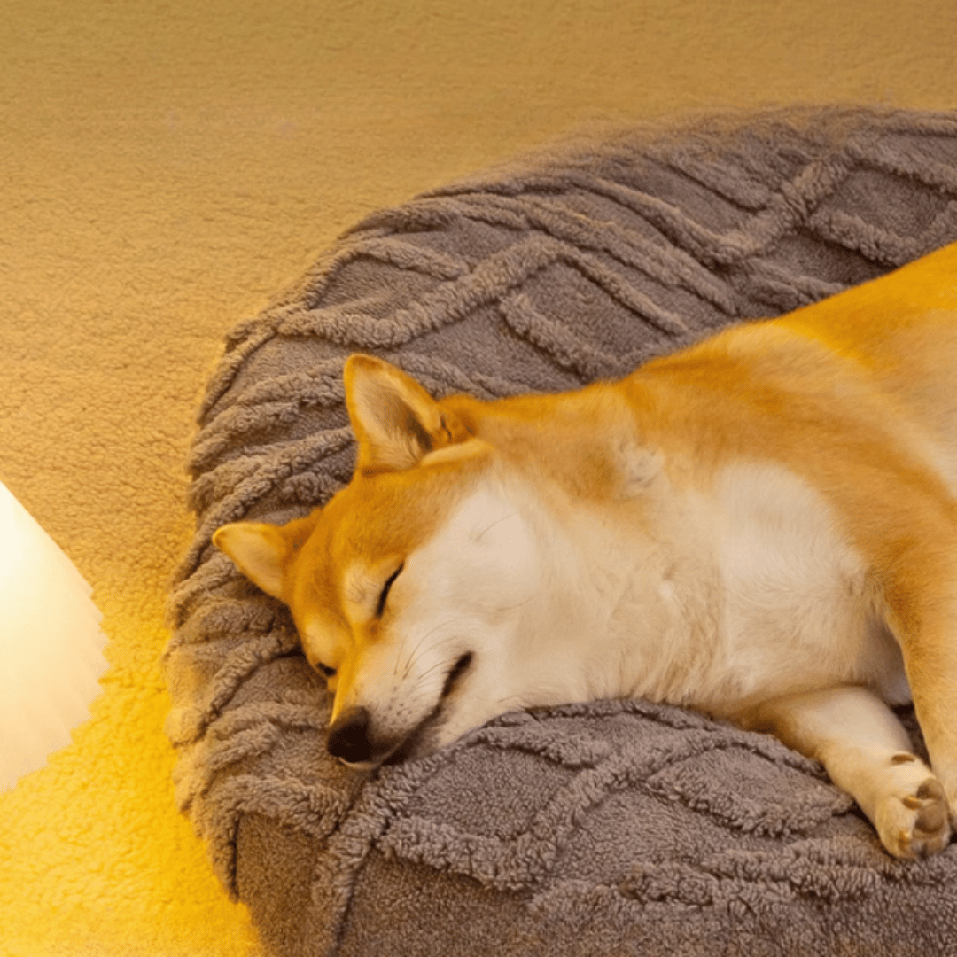 Thick & Cosy Aran Pattern Dog Pillow