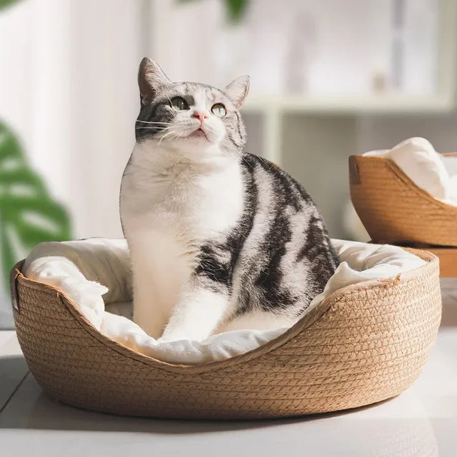 Woven Bamboo Pet Bed Basket & Cushion for Cats & Small Dogs