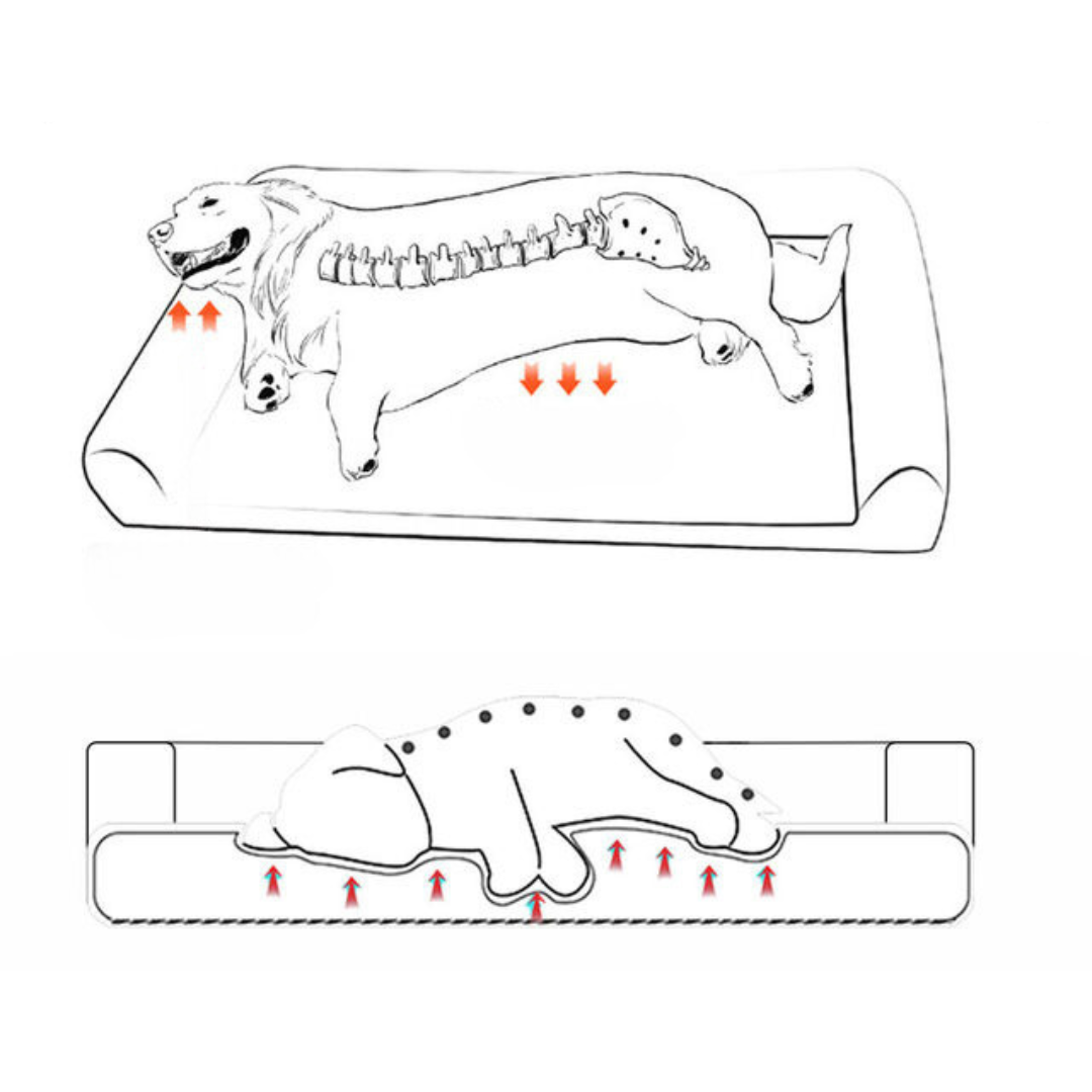 XL Orthopedic Dog Bed Memory Foam Mattress for Large Dogs
