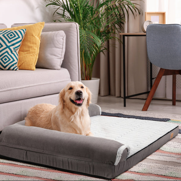 XL Orthopedic Memory Foam Dog Bolster Bed for Large Dogs