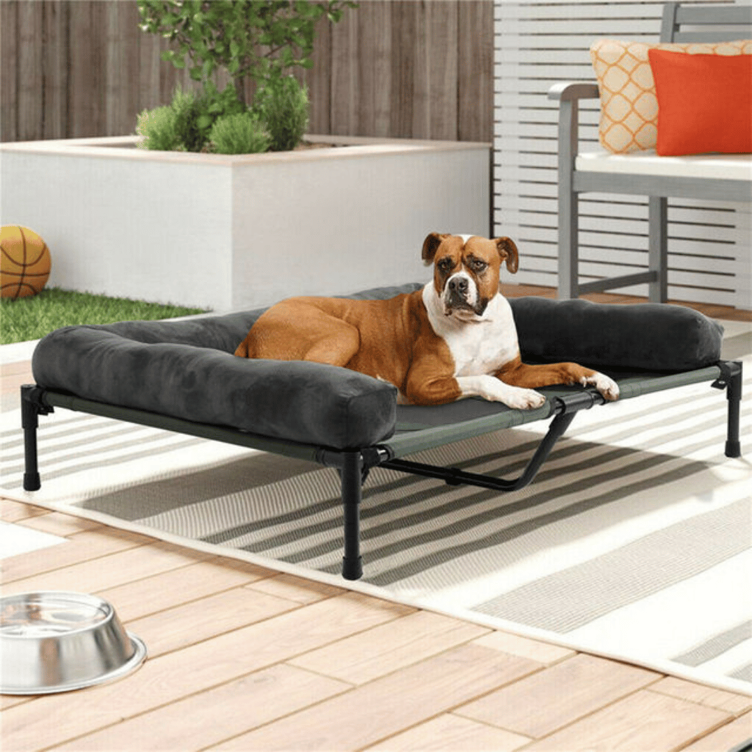 XL Raised Dog Bolster Bed for Large Dogs