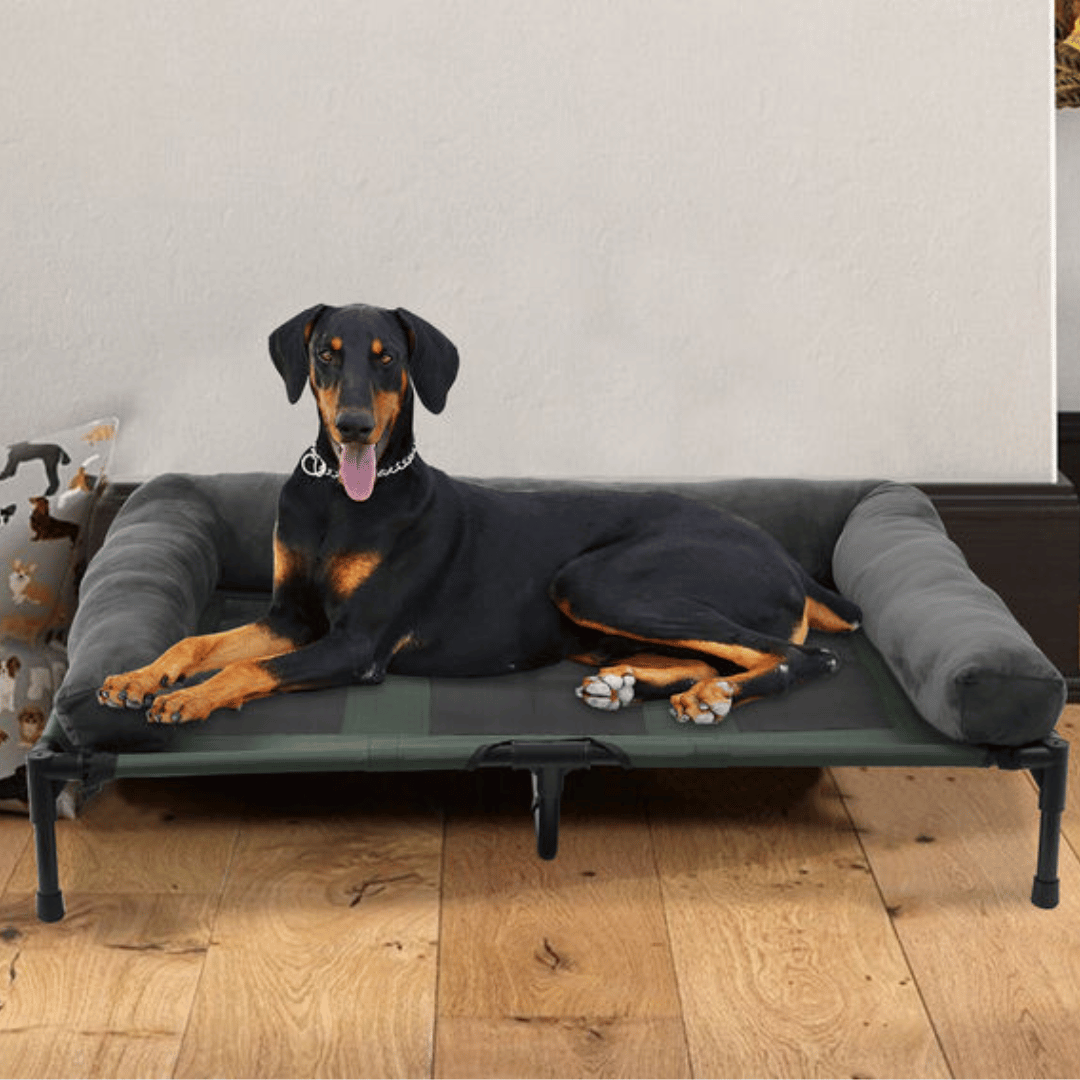 XL Raised Dog Bolster Bed for Large Dogs